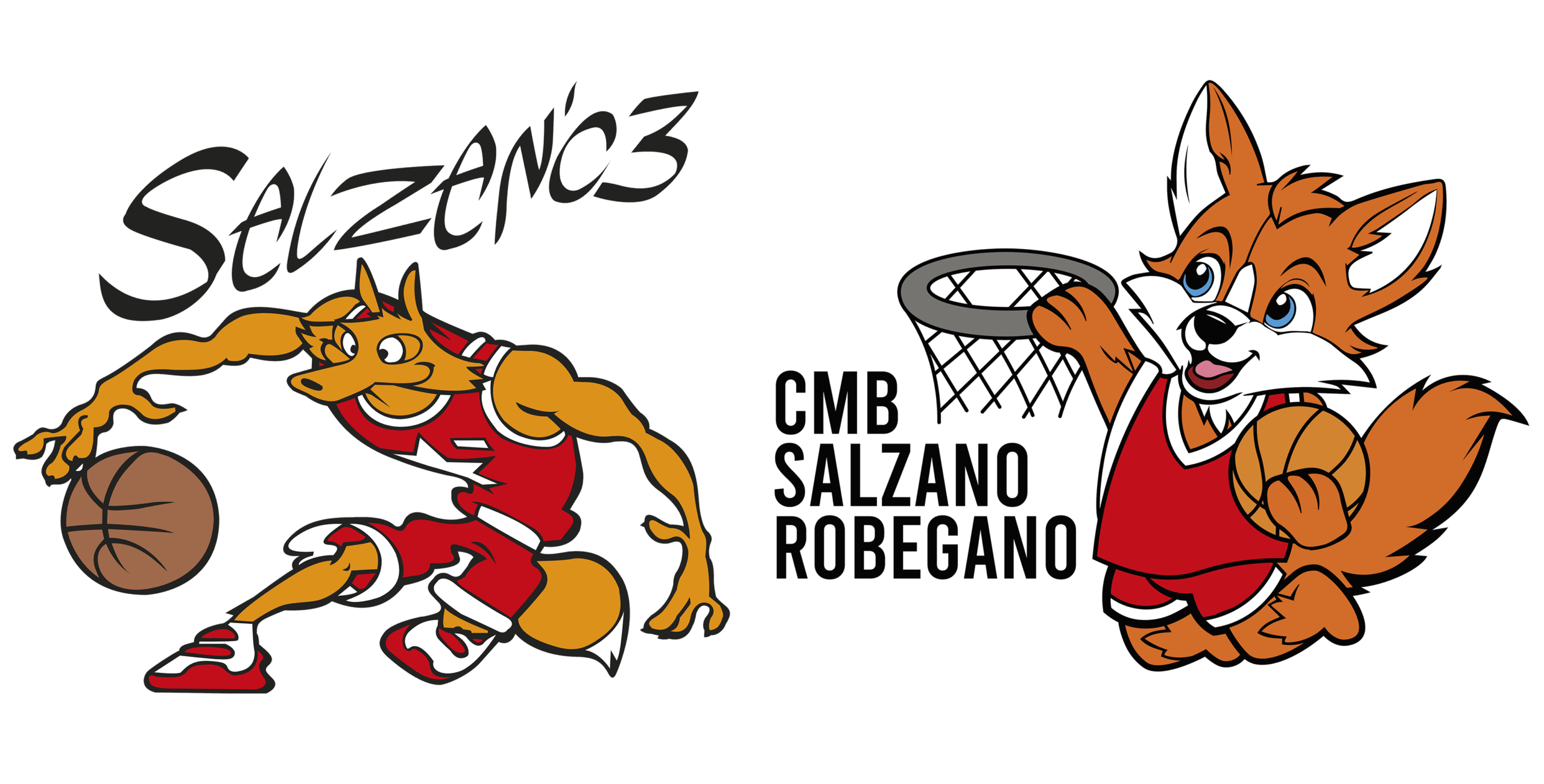 Basket Salzano 03